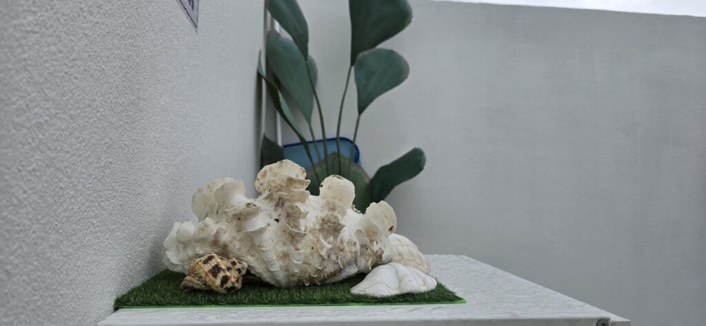 Bali Villa 1