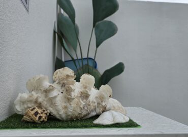 20241209 163825 at D'Penarik Bali Villa